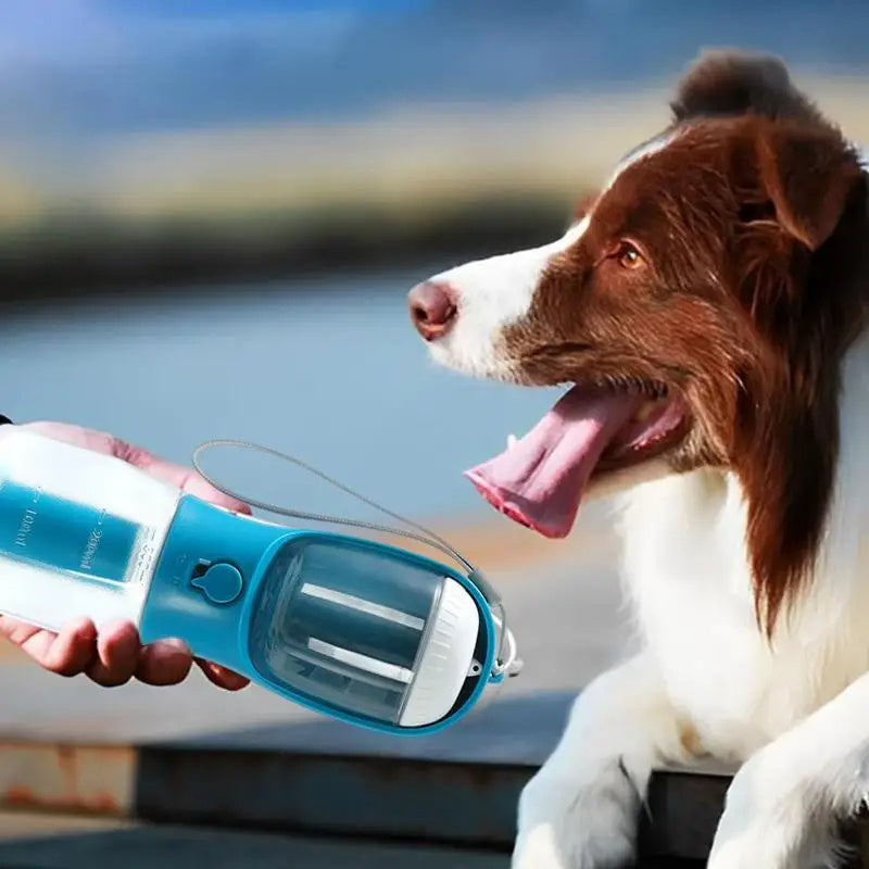 Three-in-One Portable Pet Cup with Food and Waste Bag